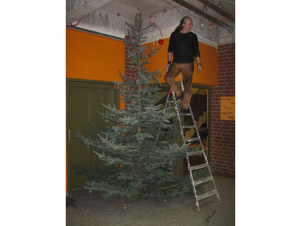Herr Wittich beim Aufstellen des Baumes Foto vom Aufstellen des Baums